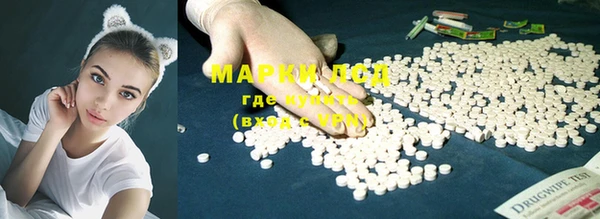 мяу мяу мука Ельня
