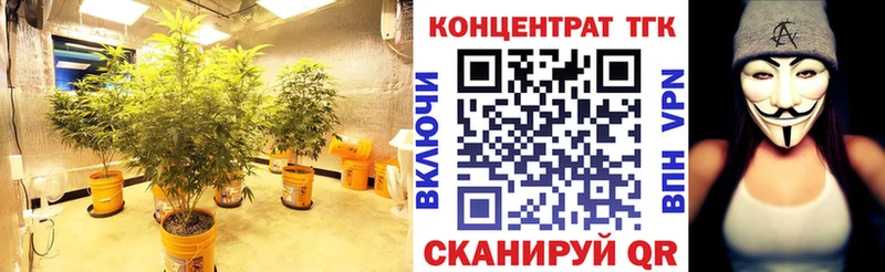 ТГК Wax  Купить  Ливны 