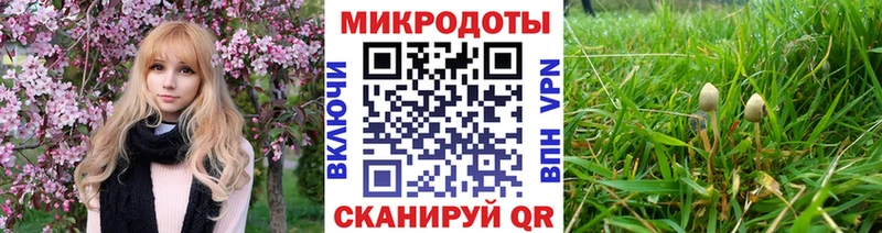 Галлюциногенные грибы Psilocybine cubensis  Купить закладки  Ливны 