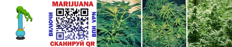Купить  Ливны  Бошки марихуана SATIVA & INDICA 